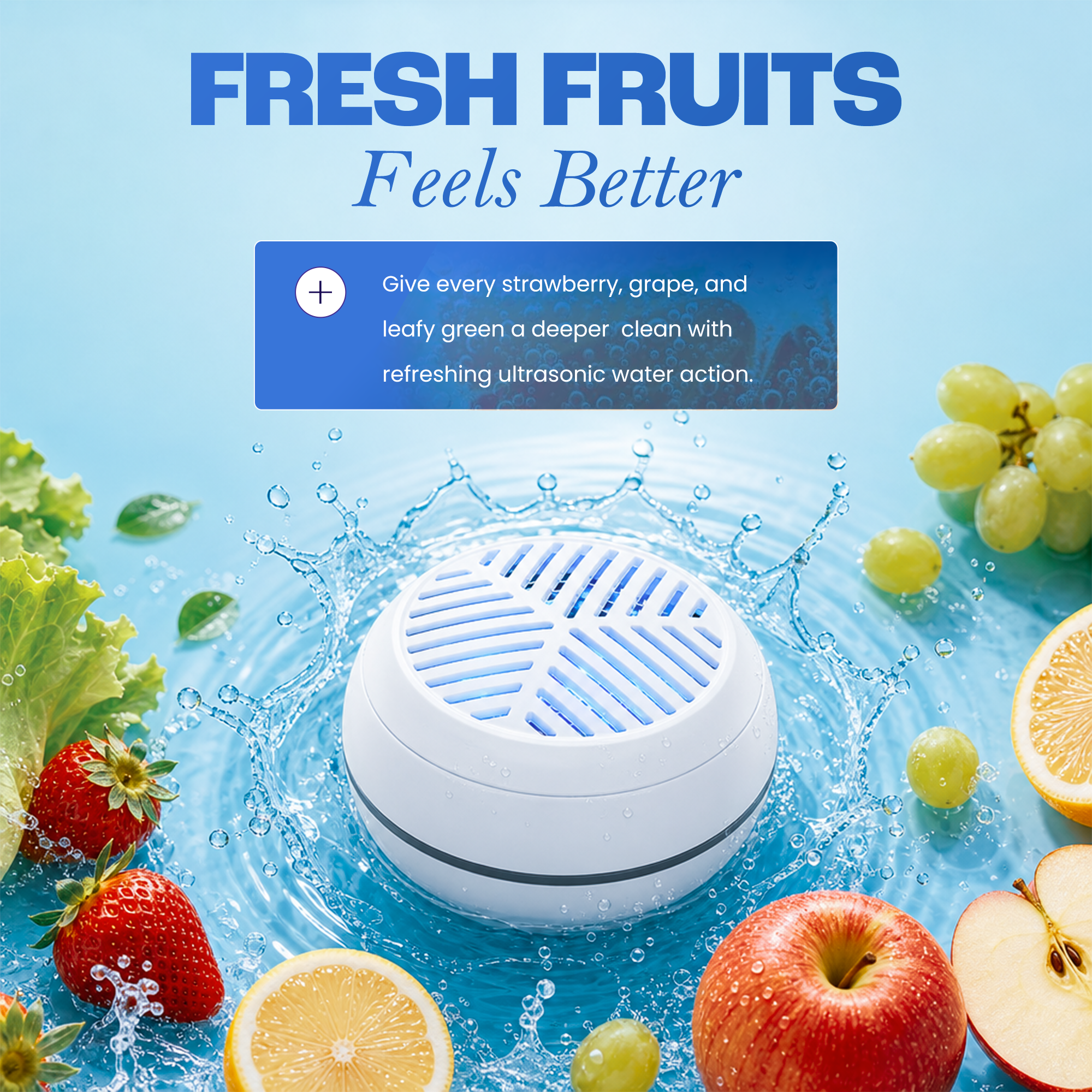 Portable Fruit Cleaner